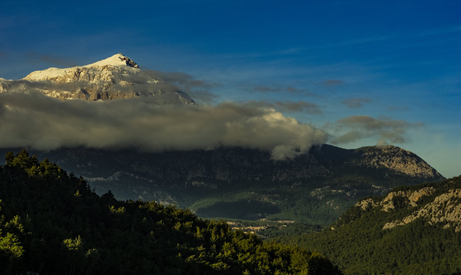Snow-capped mountain peak above clouds and forested slopes near Olympos